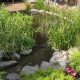 Small ornamental pond (2.5 sq.m)
