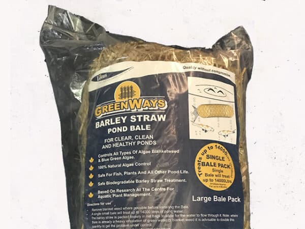 Barley Straw Bale Large